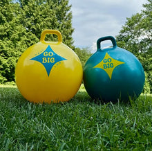 Set of 2 Hop Ball Race Set
