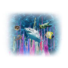 Smithsonian Magic Rocks Value