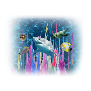 Smithsonian Magic Rocks Value