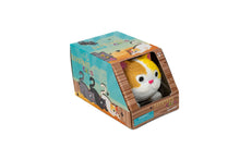 Barnyard Cats(3 tipos)