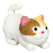 Barnyard Cats(3 tipos)
