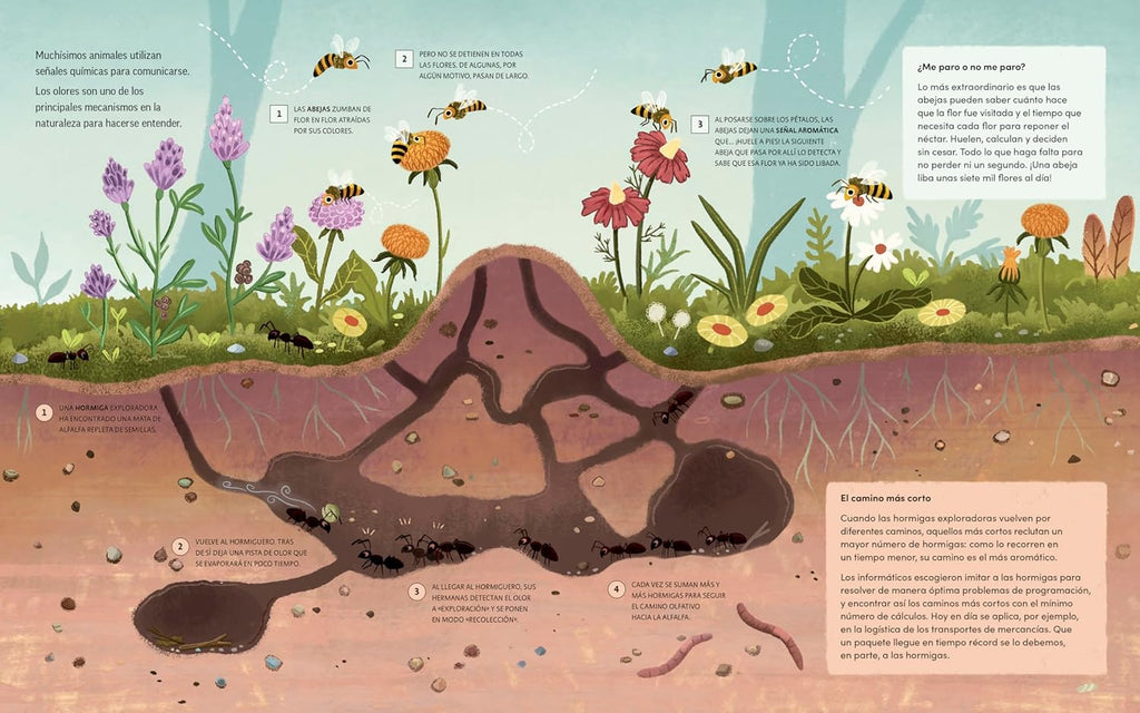 Plantas que hablan, animales que cantan