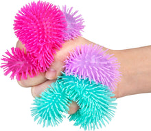 Curiosities Sugar Smooshies Softees