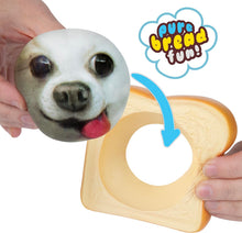Curiosities Pure Bread Pets