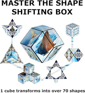 Shashibo Cube - Arctic