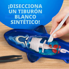 Glow-in-the-Dark Great White Shark Dissection Lab
