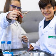 Bulging Box Of Experiments