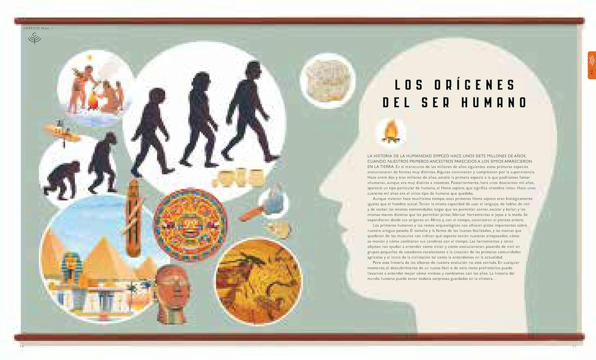 El curioso árbol prodigioso. Mundo humano