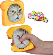 Curiosities Pure Bread Pets