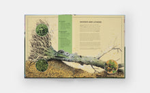 The Tomorrow Tree: How Nature Creates