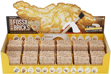 Dig a Dozen Fossil Bricks