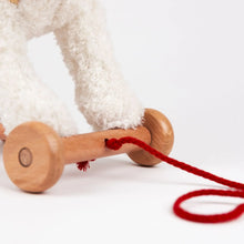 Eliot the Pull-Along Dog