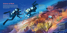 The World of Coral Reefs