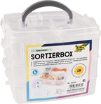 Compartment Box Transparent