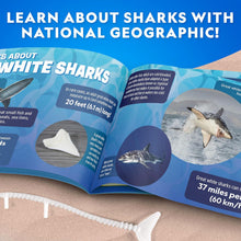 Glow-in-the-Dark Great White Shark Dissection Lab