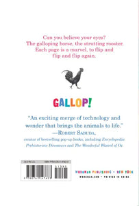 Gallop! Ascanimation Picture Book