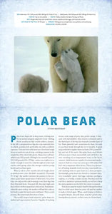 Polar: A photicular Book