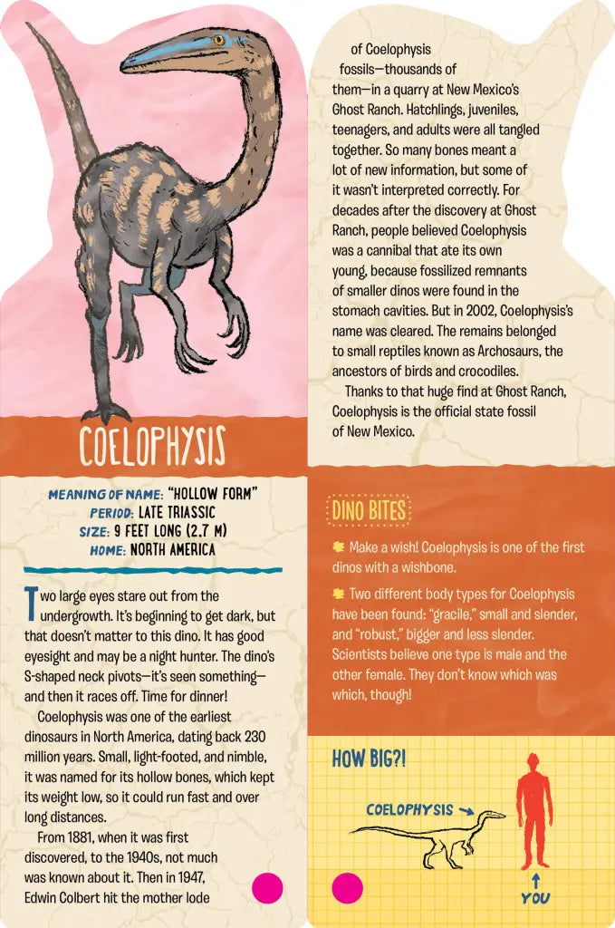 Fandex Kids: Dinosaurs