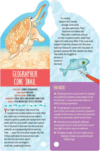 Fandex Kids: Ocean