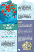 Fandex Kids: Ocean