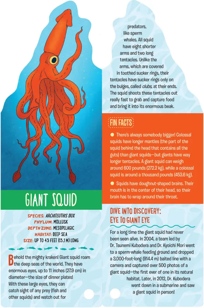 Fandex Kids: Ocean
