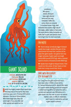 Fandex Kids: Ocean