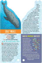 Fandex Kids: Ocean
