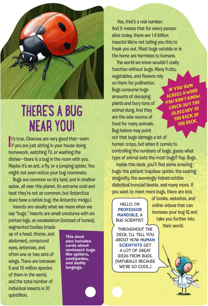 Fandex Kids: Bugs