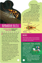 Fandex Kids: Bugs