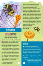 Fandex Kids: Bugs