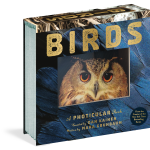 Birds: A Photicular Book