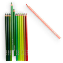 12 lápices de colores + tarjetas El jardín del molino