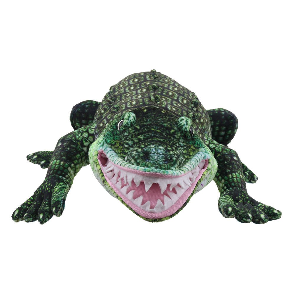 Large Creatures: Alligator