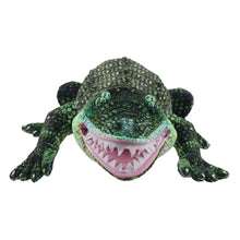 Large Creatures: Alligator
