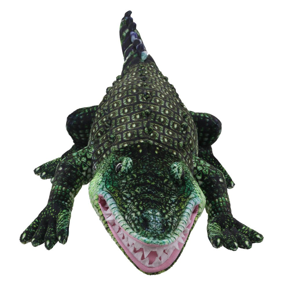 Large Creatures: Alligator