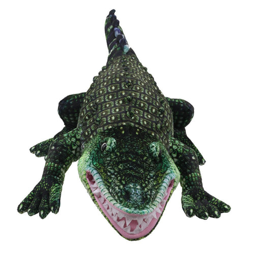 Large Creatures: Alligator