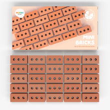 Mini Bricks