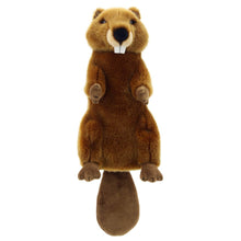 Long-Sleeved Glove Puppets: Beaver