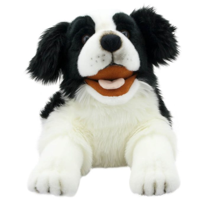 Playful Puppies: Border Collie
