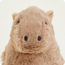 Capybara Warmies