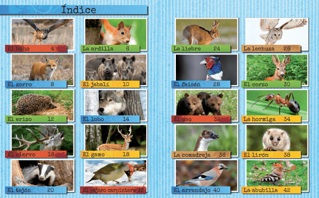 Los animales del bosque