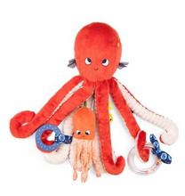 Gran pulpo de actividades