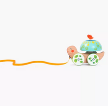 Turtle pull along - Jungla