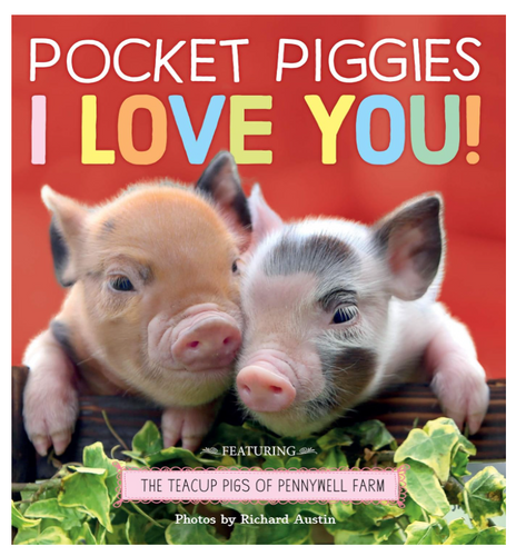 Pocket Piggies: I Love You!
