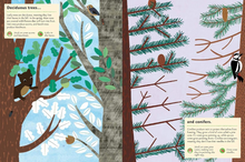 In the Forest: My Nature Sticker Activity Book