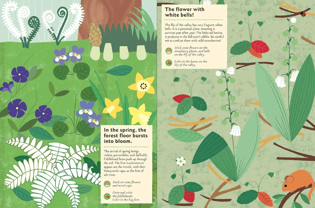 In the Forest: My Nature Sticker Activity Book