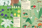In the Forest: My Nature Sticker Activity Book