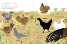 Chickenology: The Ultimate Encyclopedia