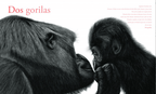 Contar Leones