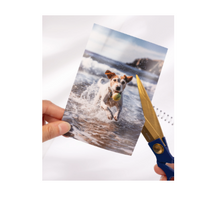 DIY Photo Calendar-White